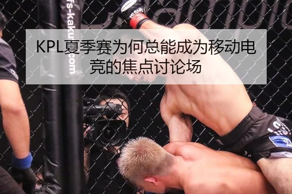 KPL夏季赛为何总能成为移动电竞的焦点讨论场
